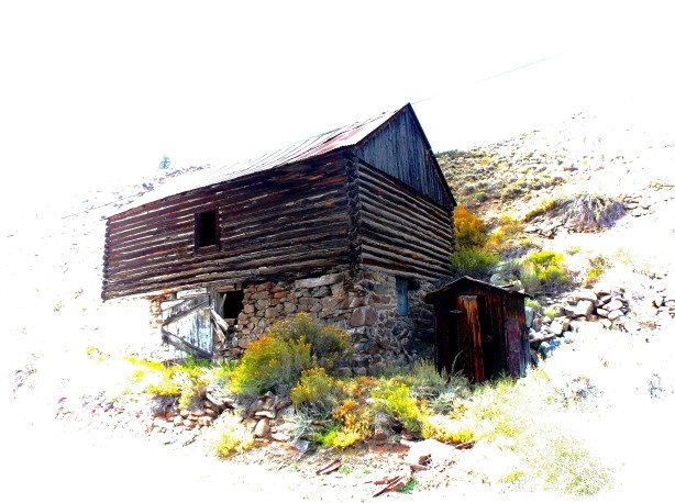 Barn, cellar and outhouse, Granite, Colorado