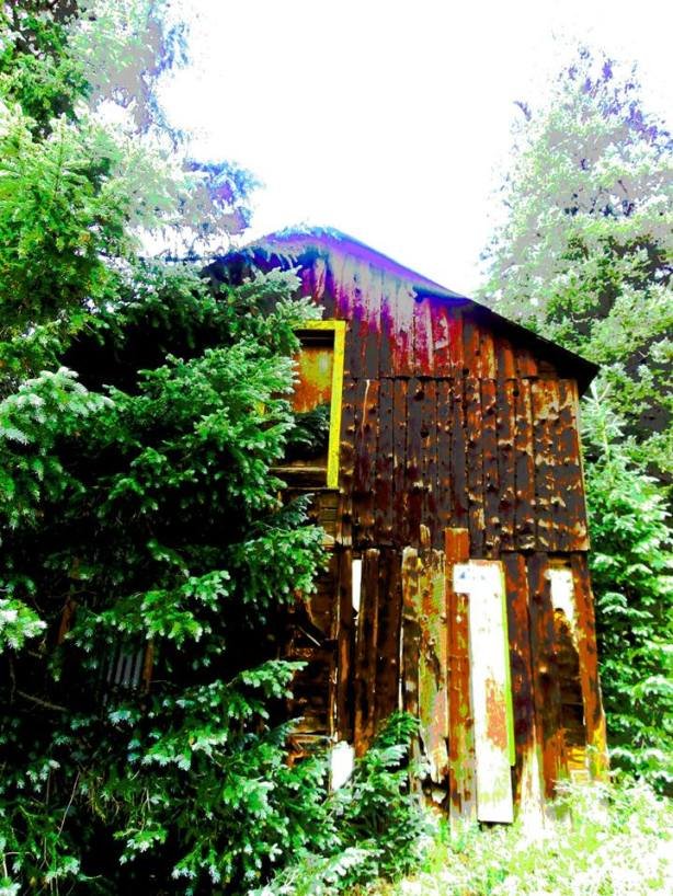 The great old building I can't get a good photo of.