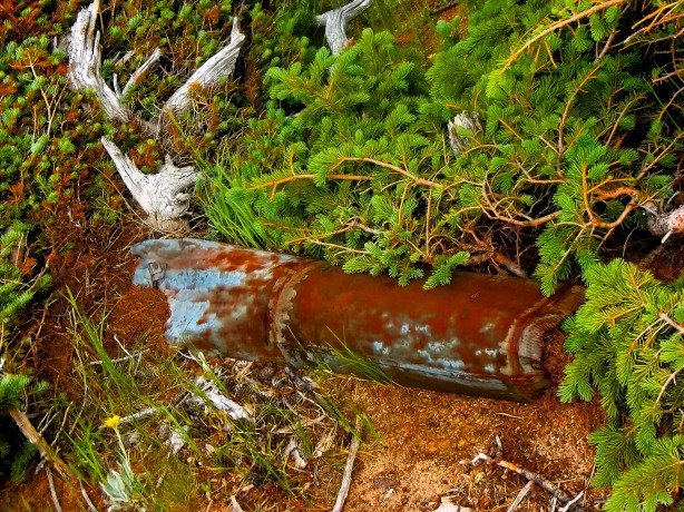 Chimney from long gone cabin