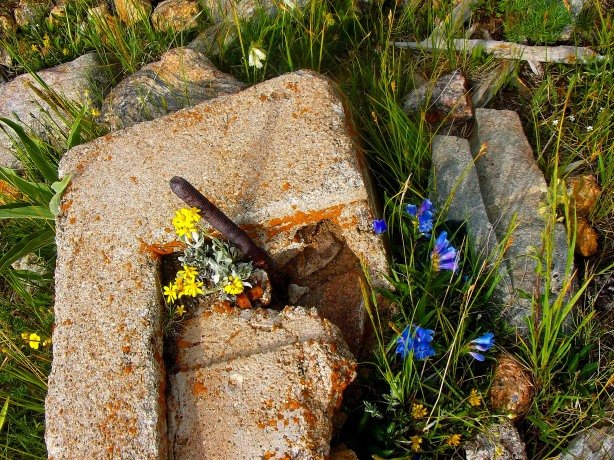 Nature reclaiming herself