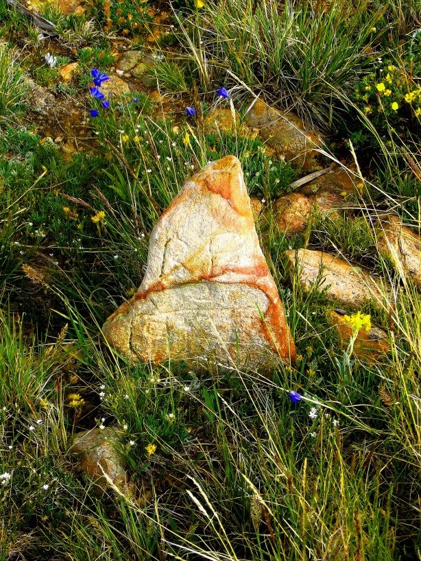 The lonely grave on Yankee Hill