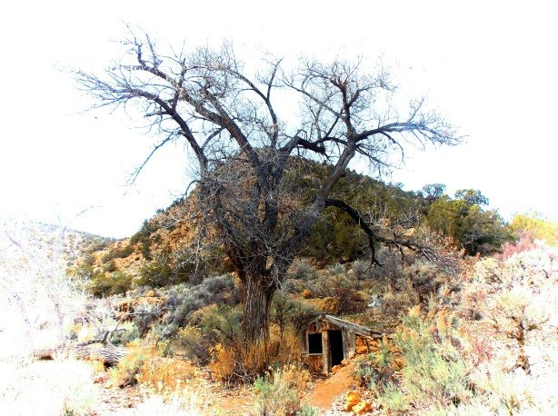 Stone houses carved into the rock at Old Thompson Springs