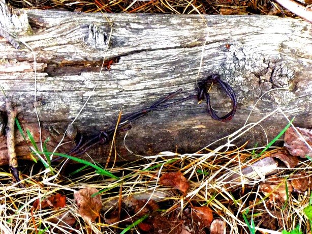 First signs of human settlement