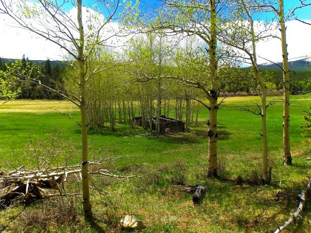 The first cabin of Williamsburg I saw in the Aspens