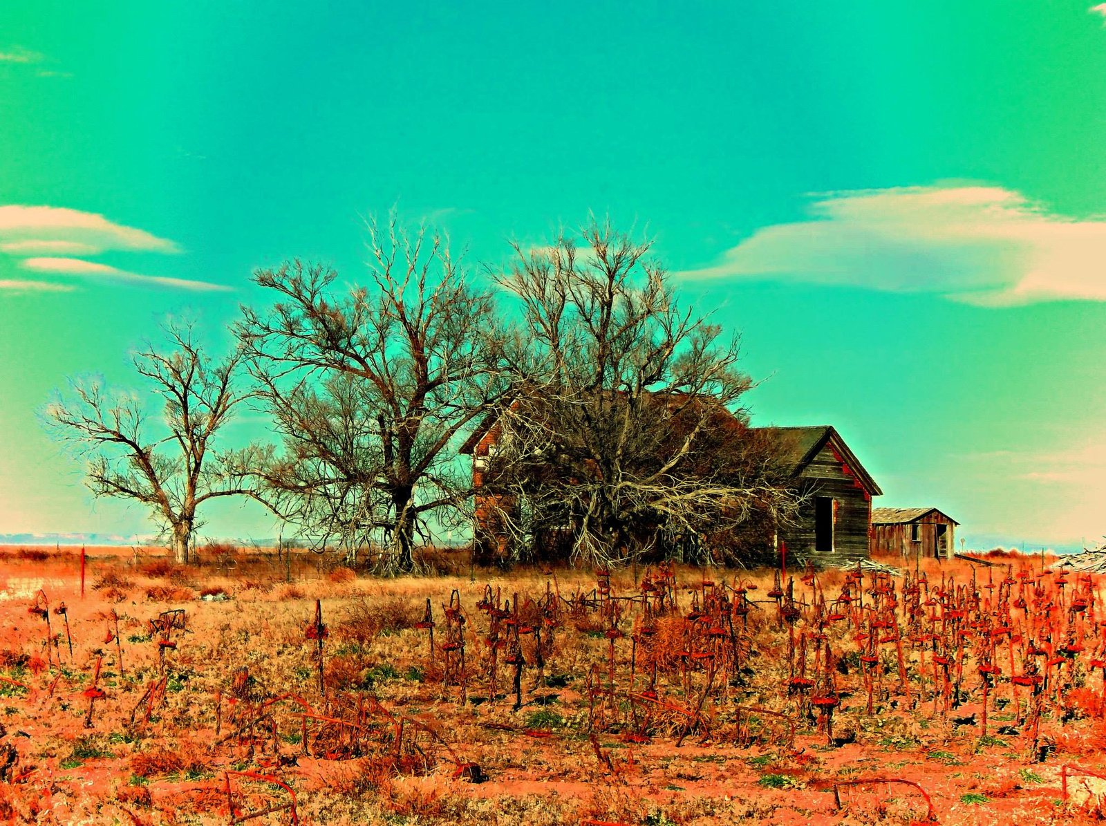 Farmhouse Near Grover